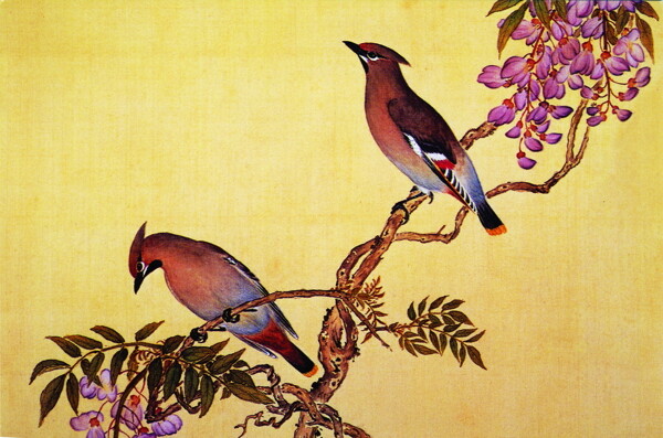 花鸟画中国古画传统国画12