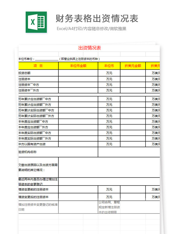 财务表格出资情况表Excel文档