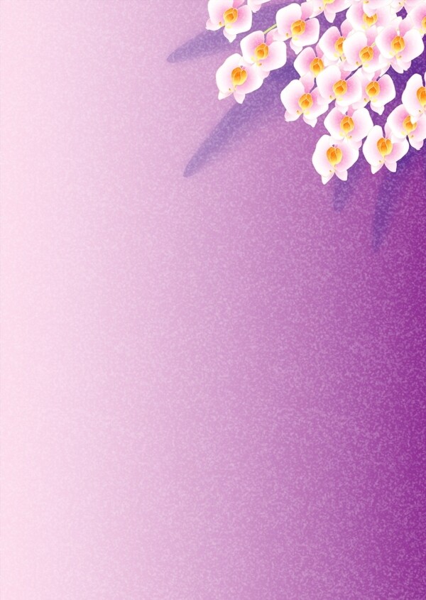 淡紫迎春花