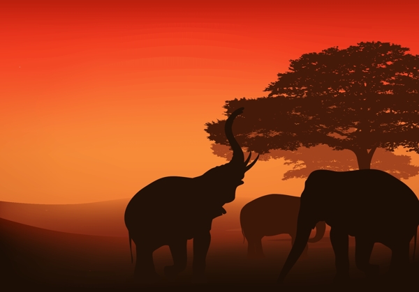 夕阳下非洲大草原上的大象