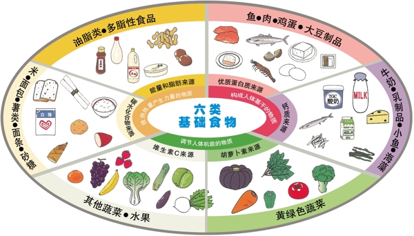 六类基础食物图片