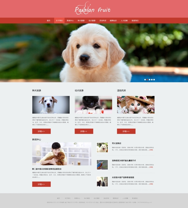 宠物时尚简洁网站模板首页PSD源文件