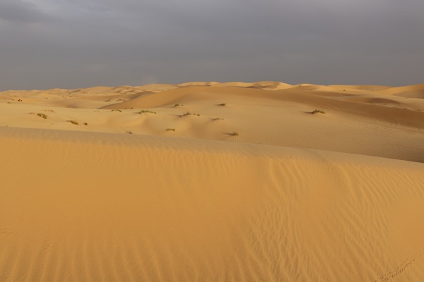 荒芜沙漠景观