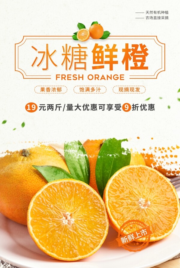 冰鲜鲜橙水果活动促销海报素材