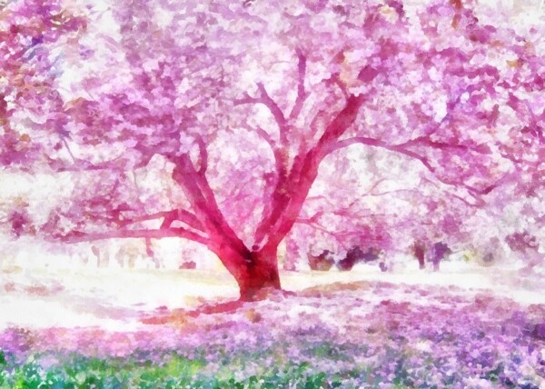 水彩樱花树
