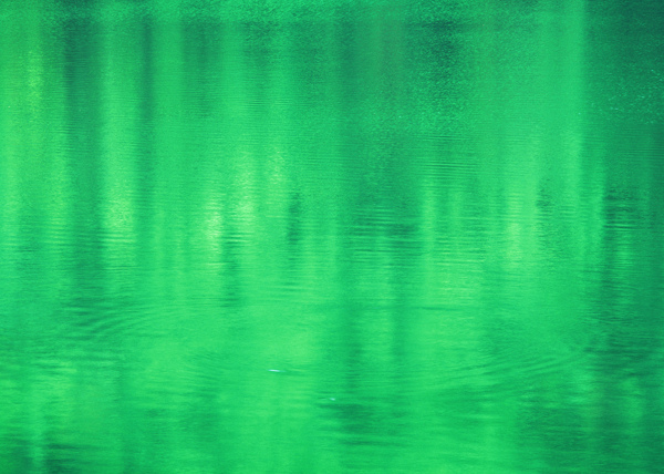 水面绿色倒影图片图片