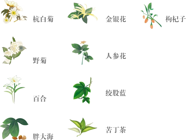 9种常用药材