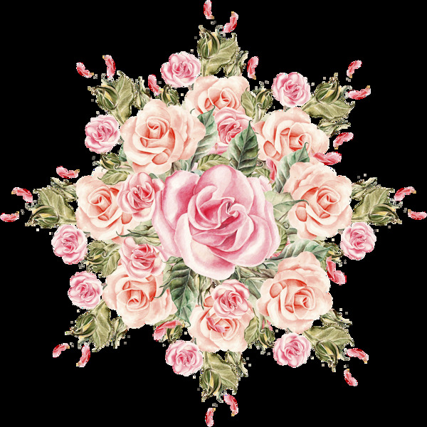 玫瑰花朵卡通透明素材