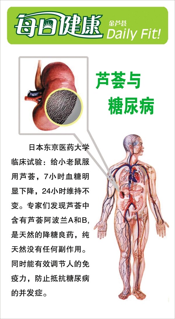 人体图图片