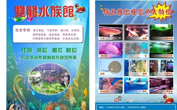 水族宣传单图片