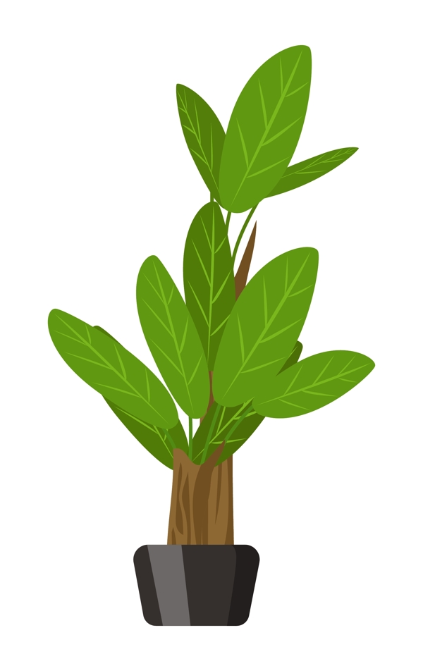 绿叶小树植物盆栽插画