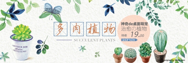 米色小清新多肉植物促销淘宝电商天猫海报banner