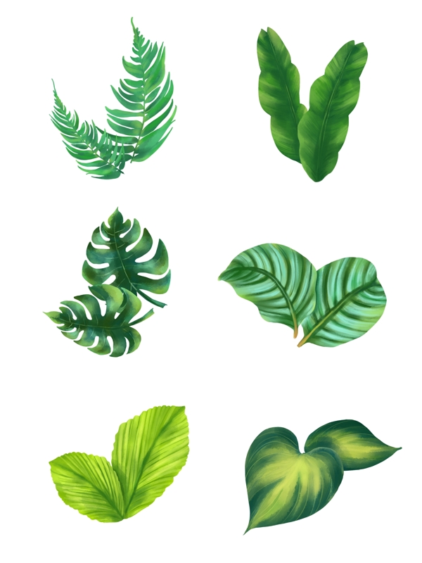 手绘热带植物叶子绿叶元素手绘绿色植物