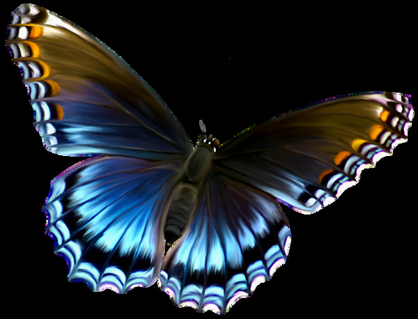 彩色漂亮蝴蝶免抠png透明素材