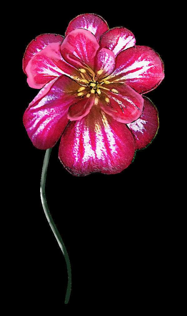 一朵颜色鲜艳的花png透明素材
