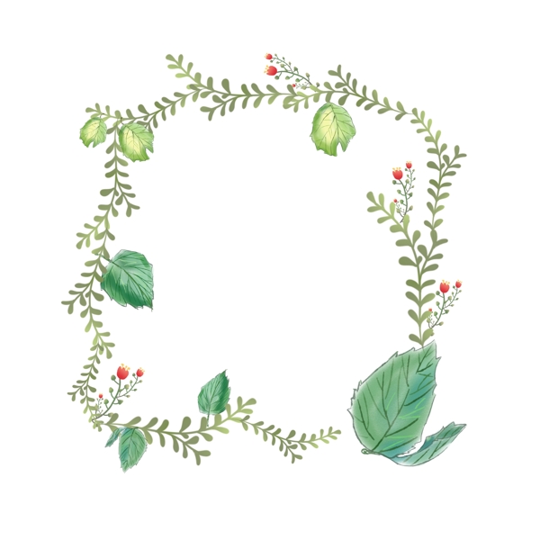 手绘植物小清新边框设计元素