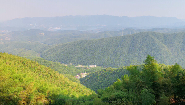 山上竹海风景图