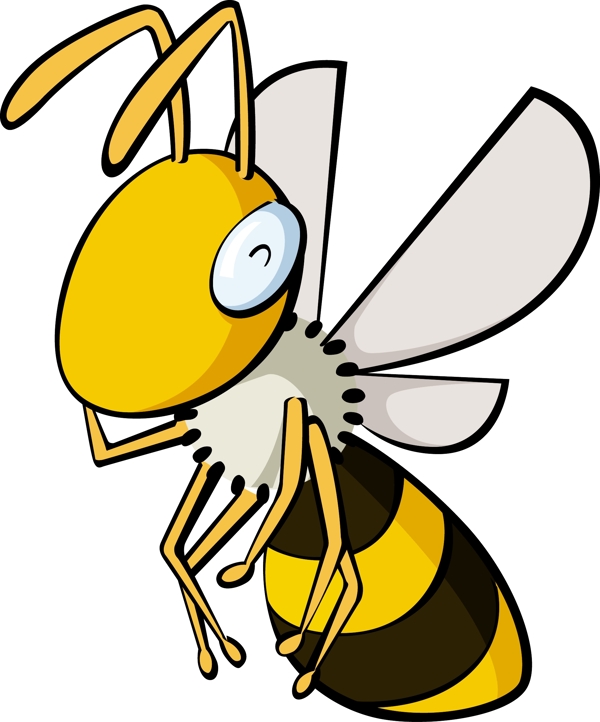 蜜蜂25