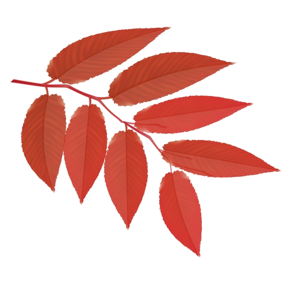 红色树叶装饰素材