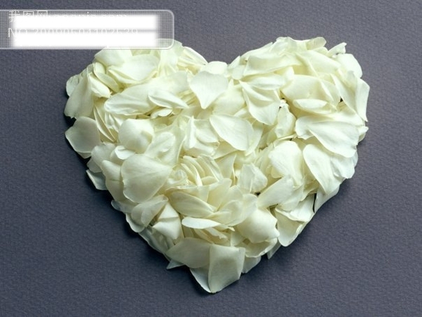 浪漫的心粉白色花瓣堆叠心型花艺