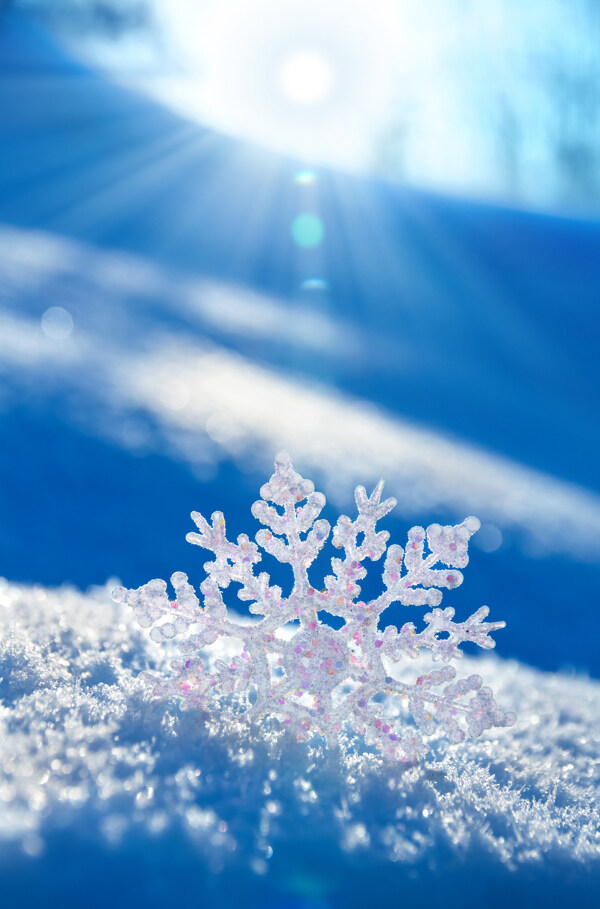 蓝色雪花图片