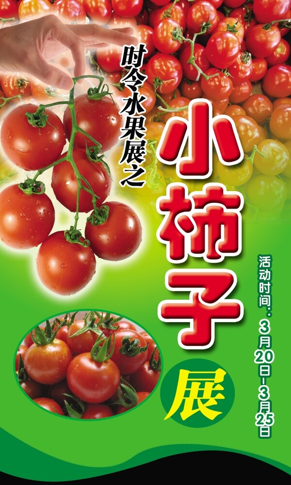 柿子西红柿蕃茄圣女果蔬菜图片