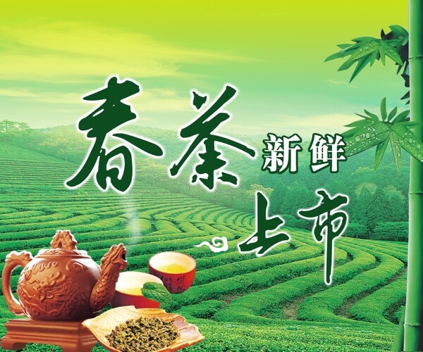 春茶上市图片