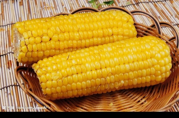 玉米棒图片