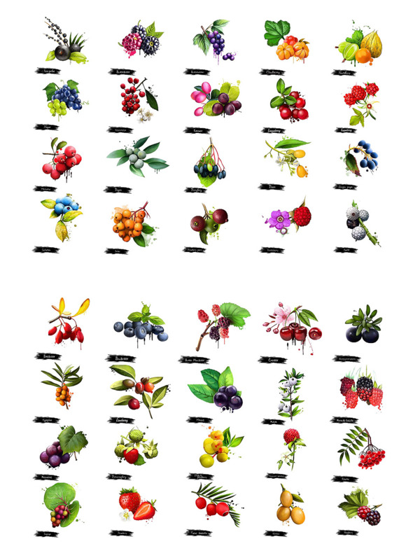 手绘水果鲜花集合图案
