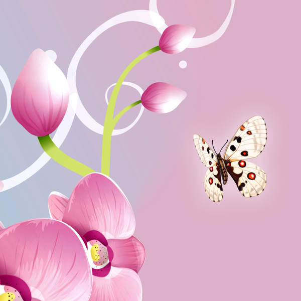 蝴蝶花朵装饰画