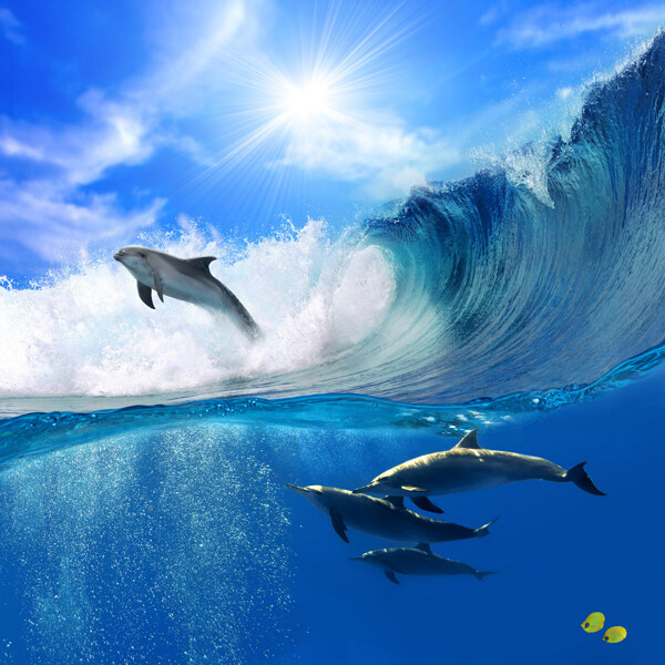 3D海浪海豚背景墙