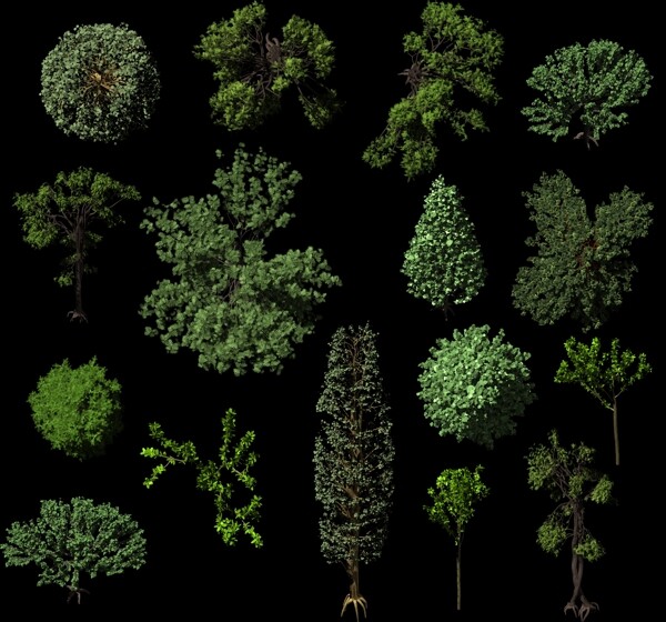 高质量鸟瞰绿化树木素材图片