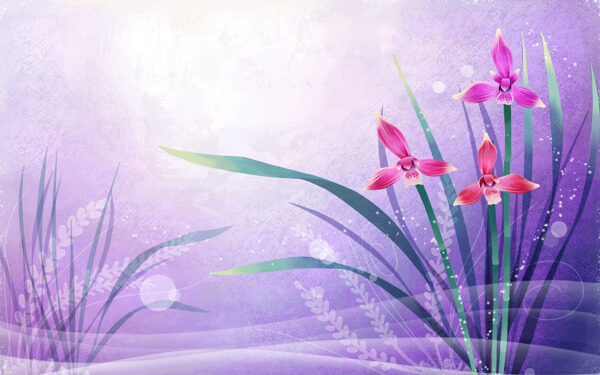 紫色清新淡雅花卉