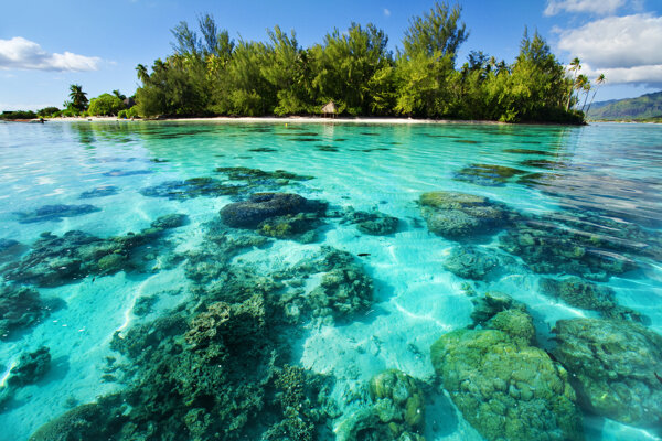 热带海滩海边风景图片