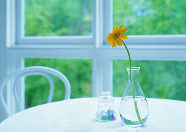 窗前桌上的花瓶鲜花图片