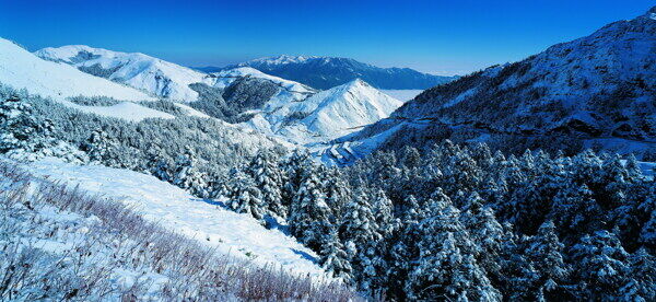 冬天雪景雪景大雪