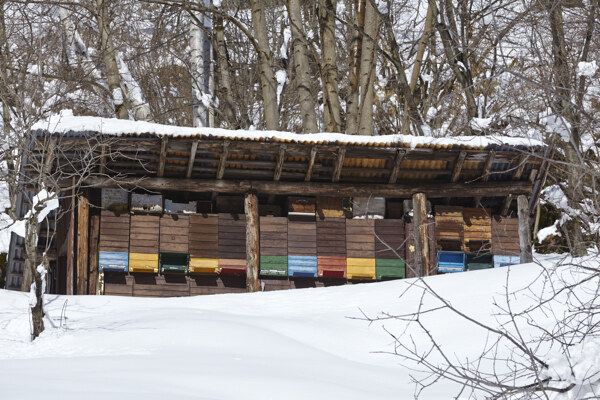冬季的小木屋