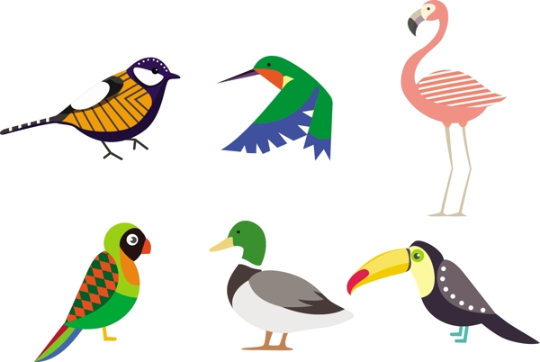 鸟类收藏孤立各种免费矢量