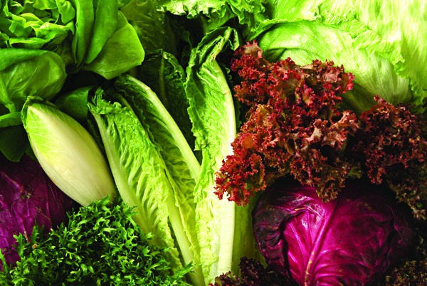 全球首席大百科什锦蔬菜新鲜健康农产品营养