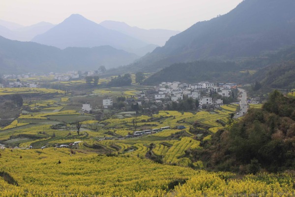 乡村美景图片