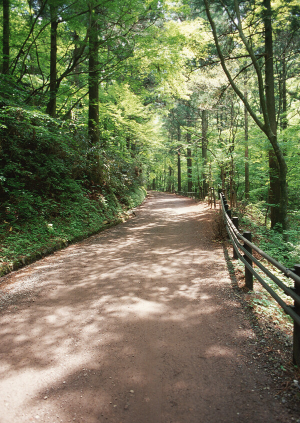 景区道路摄影图片