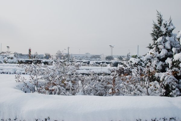 雪景图片