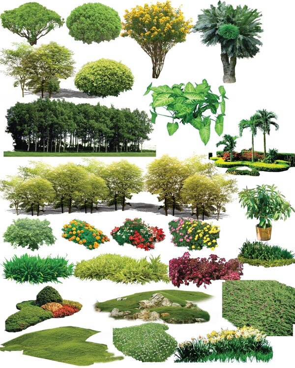 平面素材植物素材环艺广场图片