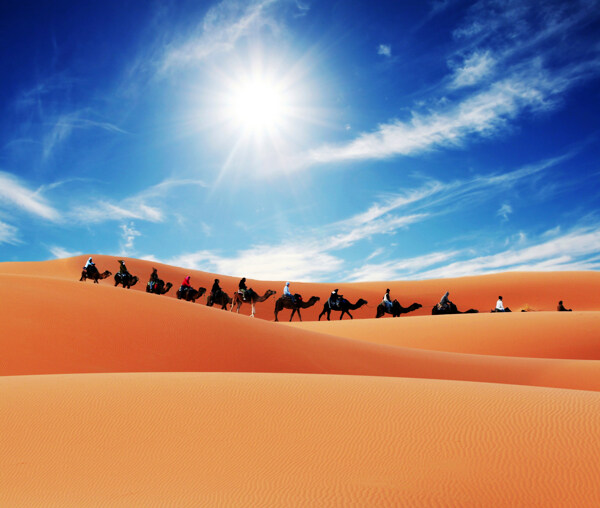 蓝天下沙漠中的驼队