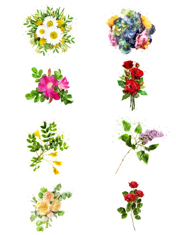 手绘玫瑰绣球花彩色植物花卉水彩元素合集