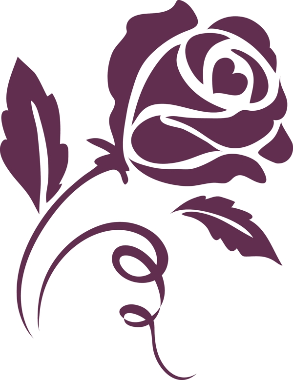 深紫色玫瑰花