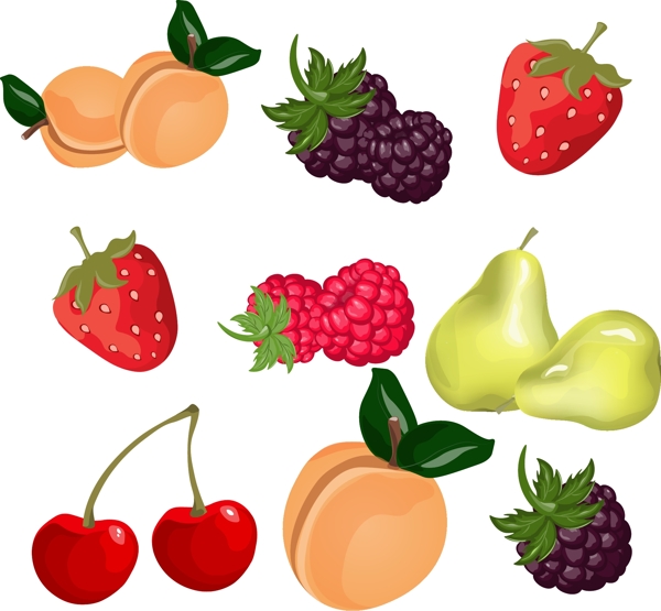 水果插图集合