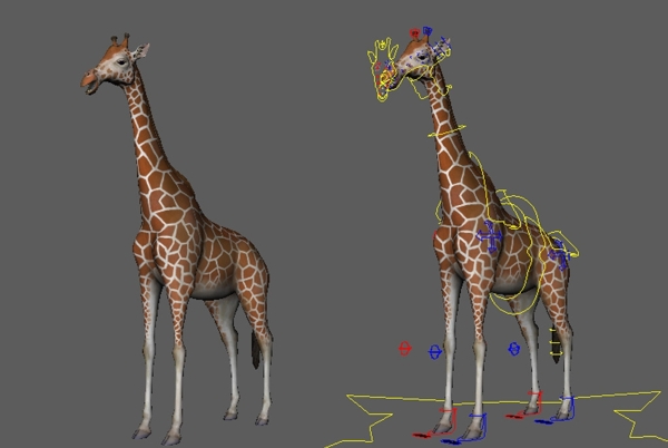 精致长颈鹿maya3d模型