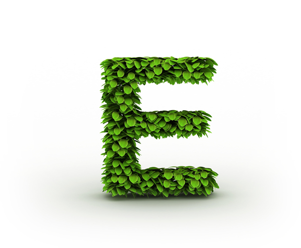 绿叶立体字母E