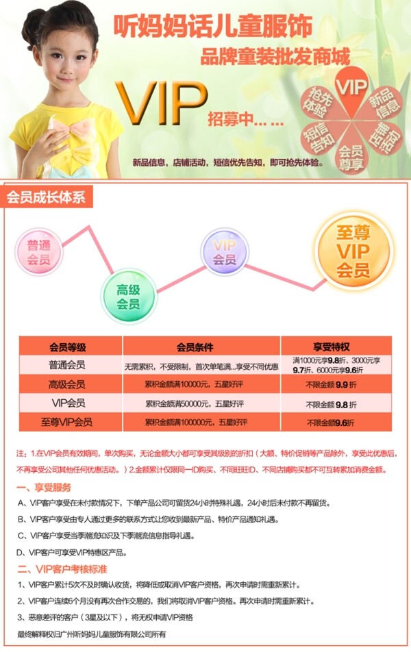 VIP会员政策PSD分层素材